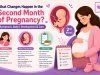 What Changes Happen in the Second Month of Pregnancy? Symptoms, Baby’s Development & Care