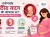 গর্ভাবস্থার দ্বিতীয় মাসে কী কী পরিবর্তন হয়? লক্ষণ, শিশুর বিকাশ ও যত্ন