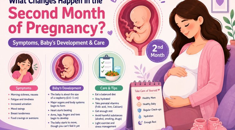 What Changes Happen in the Second Month of Pregnancy? Symptoms, Baby’s Development & Care